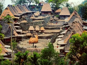 Flores Overland 8 Days 7 Night