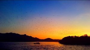 Kalong Island