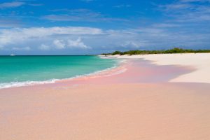 Pink Beach