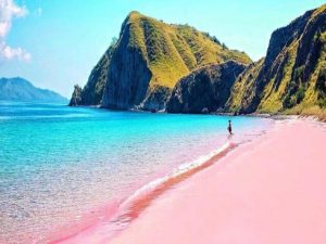 Pulau-Komodo-NTT-mempunyai-Pink-Beach-sebuah-pantai-menawan-dengan-pasir-berwarna-merah-muda-yang-diidam-idamkan-banyak-wisatawan-hendrickhartono-e1566795496441-640x480
